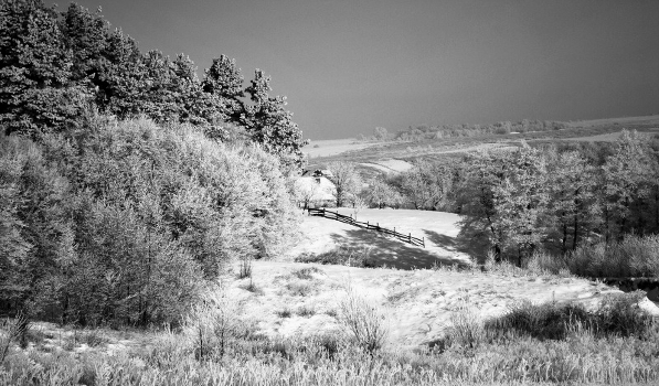 Winter Winter
