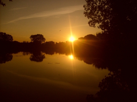 Summer Evening