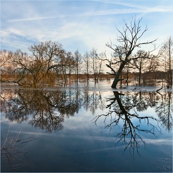 The February flood