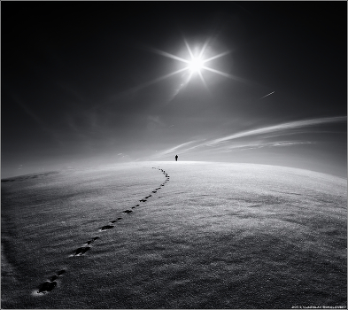 / For "rabbit" / v.II