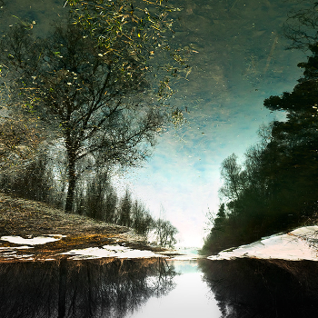Where Alice walks ...
