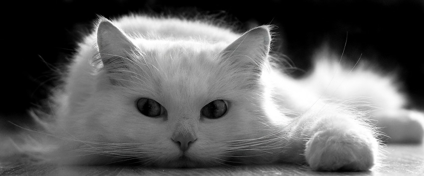 calm