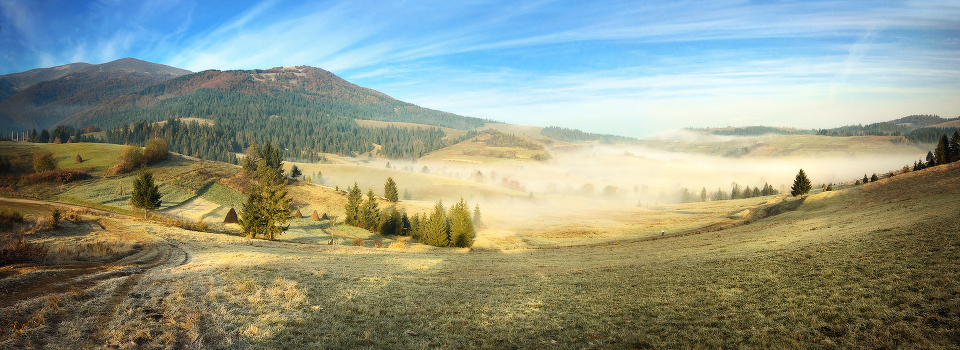 Morning frosty, foggy morning