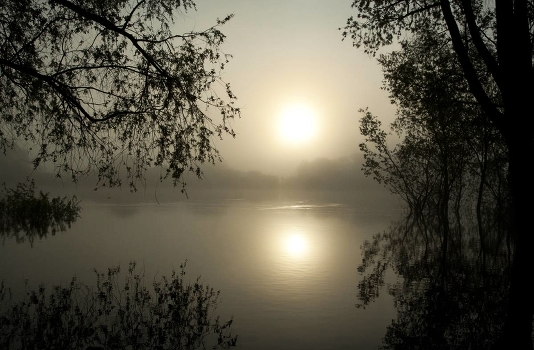 Misty