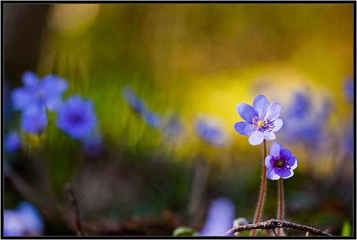 Do not worry, I\'m with you ...