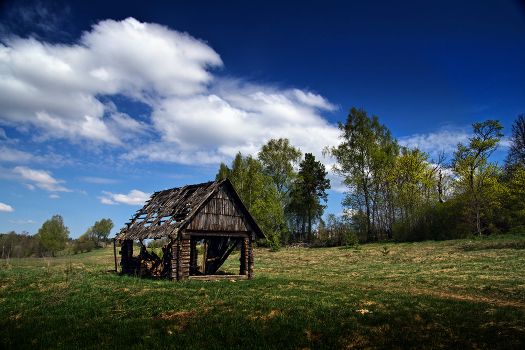 Neposluzhila