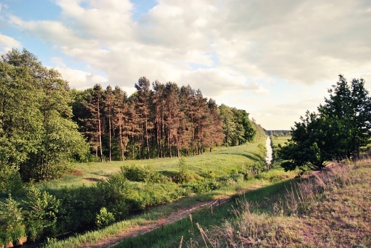 Razdolnaya steppes no end in sight. In the meadows of the wave of high grass in the rays of dawn dew srebro playing