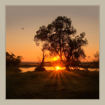 about the fallen sun