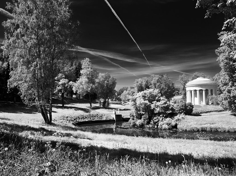 In the Pavlovsk Park