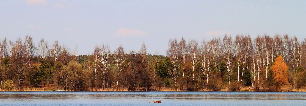 Spring Colors
