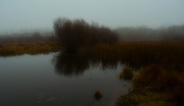 Backwater vaguely-red in autumn.