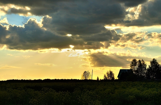 On the sunset