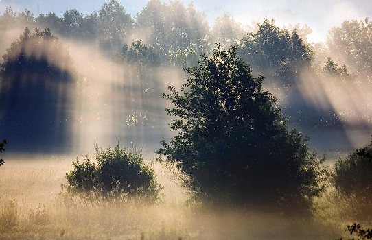 morning for Russia
