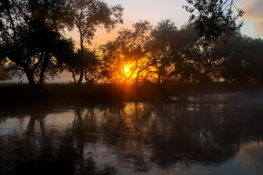 Morning on Svislochi