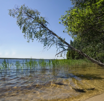Walking on Rubskomu
