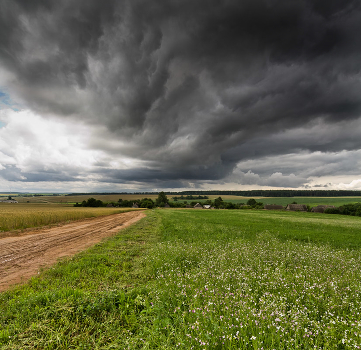 Before the rain