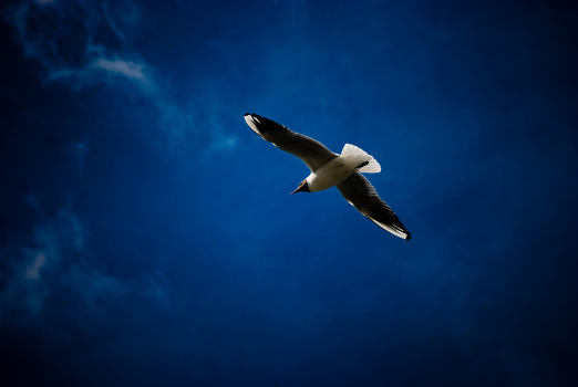 Flying in a thunderstorm