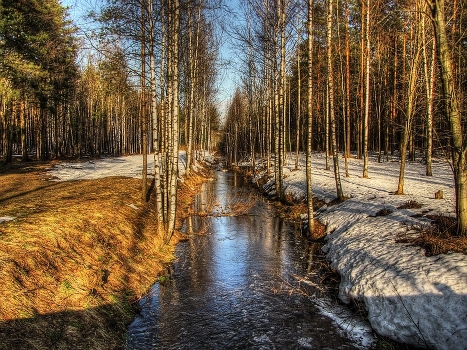 Spring