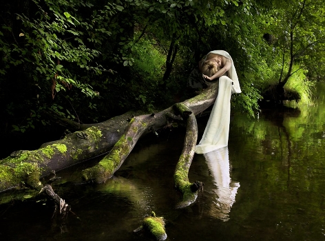 Enchanted Forest (Part 1)