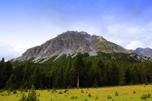 Alpine ...