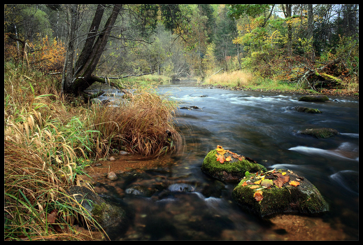 October morning at the River