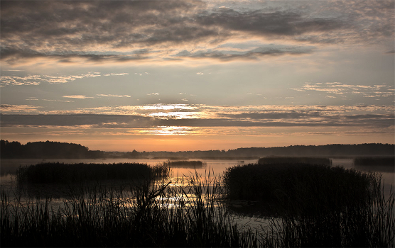 Dawn