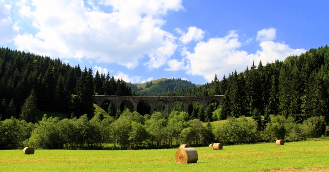 Forgotten Bridge.