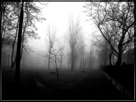 Paths ...