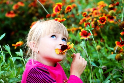 Little flower.