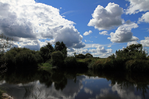 With the clouds