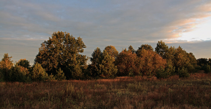 In the morning