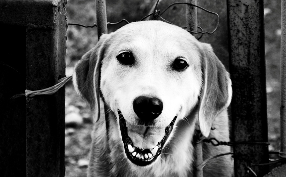 Ike:)