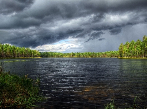 Forest Lake