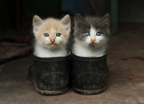 Two