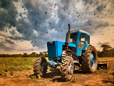 Agriculture
