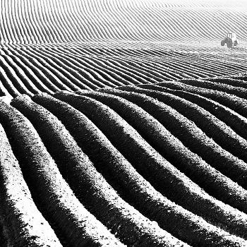 Spring line of the field II