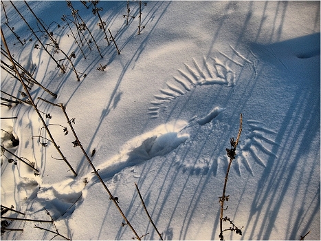 There was only a trace ...