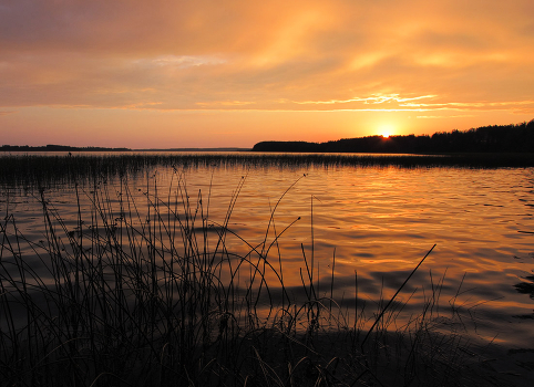Warm evening