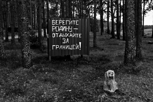 On Guard for nature
