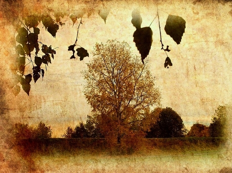 Autumn sketches
