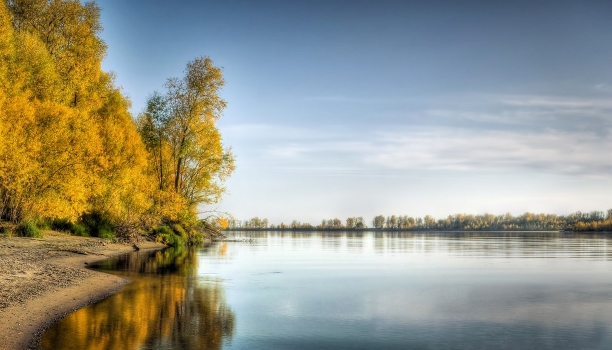 Golden Autumn on the River.