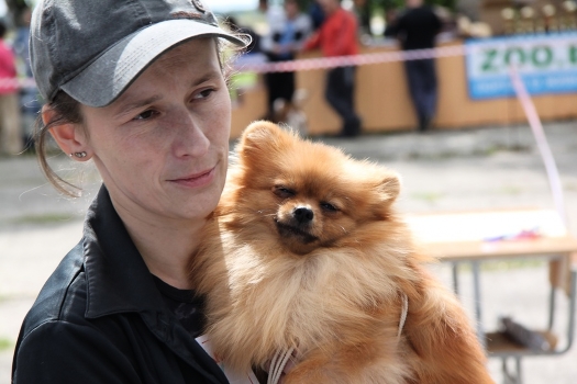 Interview at the dog show