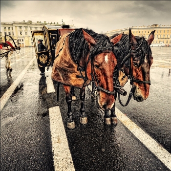 Two of the rain
