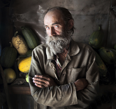 Portrait of a zucchini