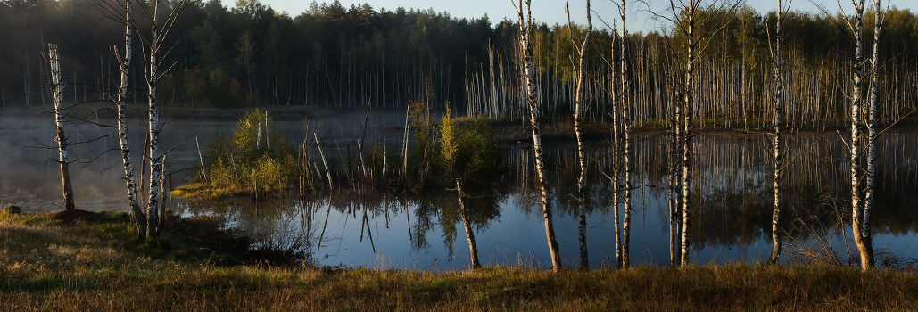 Morning on Savrasov