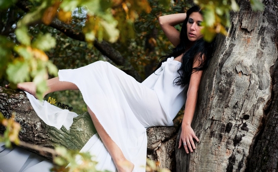 Forest Fairy