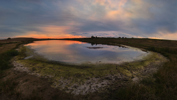 Saucer full sunset