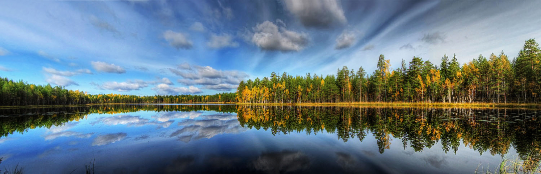 Looking glass