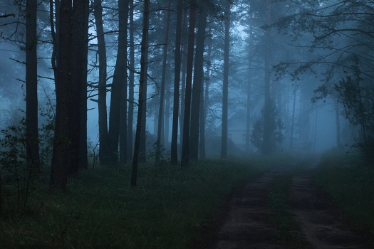 It was getting dark ...