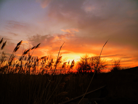 Heavenly Feuer